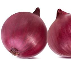 Onion